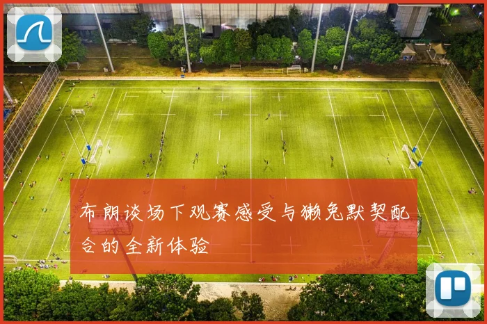布朗谈场下观赛感受与獭兔默契配合的全新体验