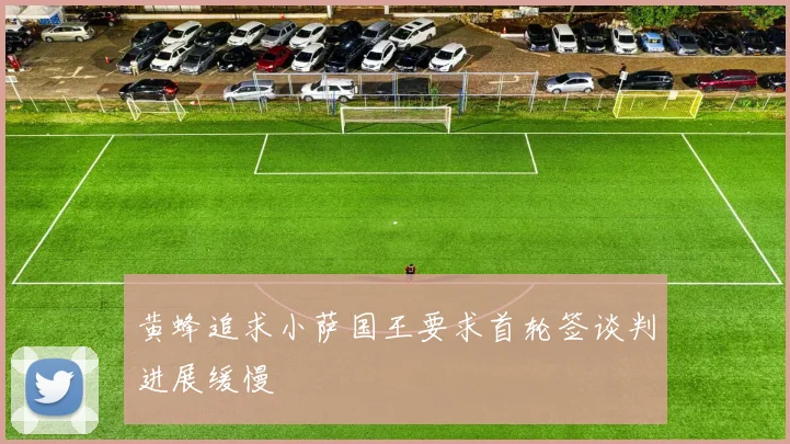 黄蜂追求小萨国王要求首轮签谈判进展缓慢